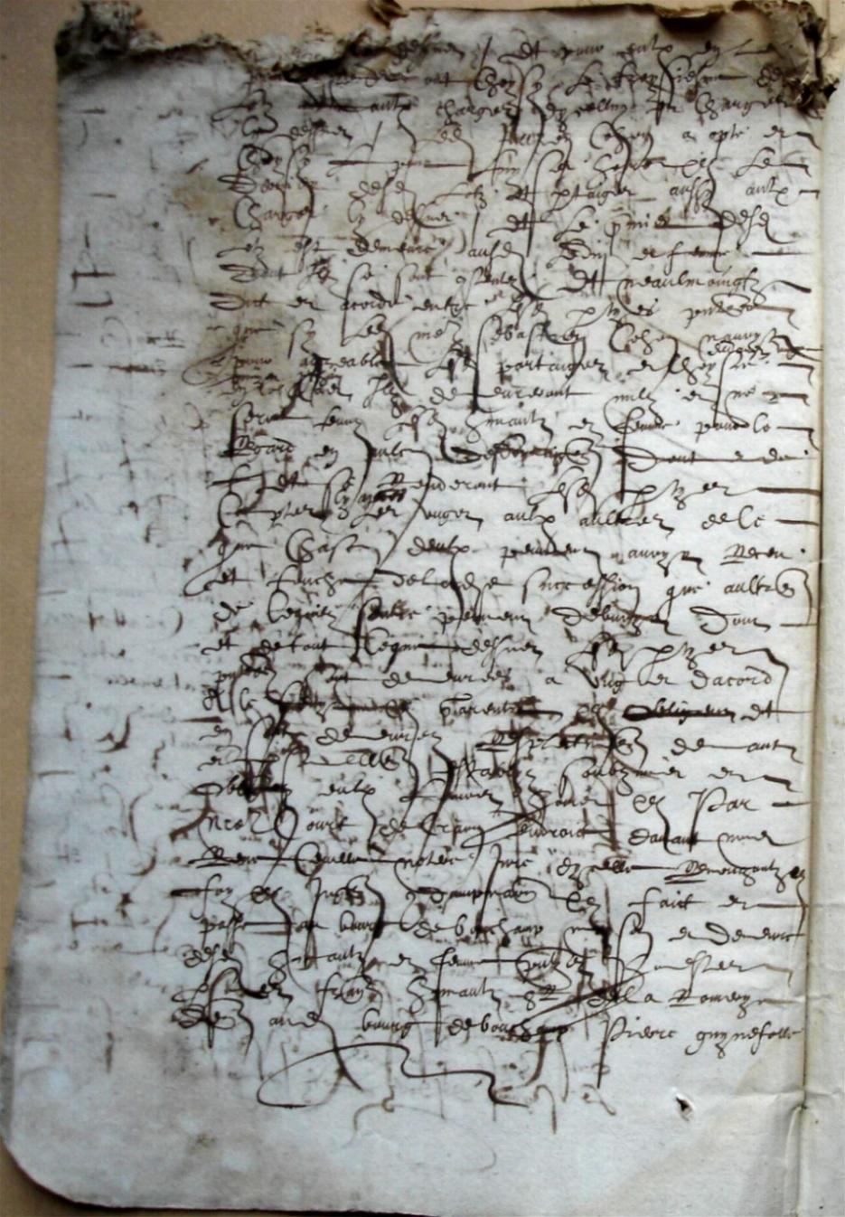 Cohon-G_1615 (16).JPG